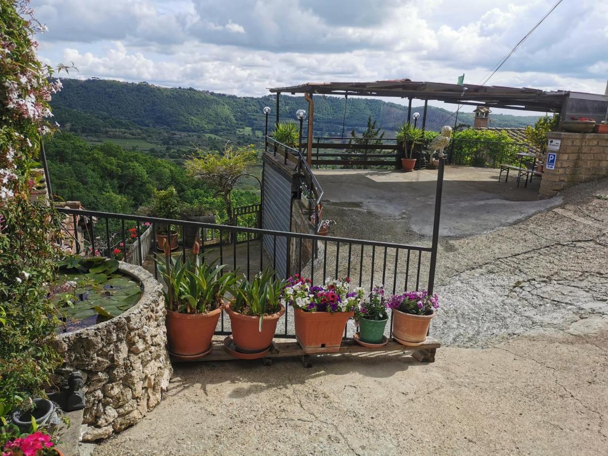 Francigena Sul Lago Montefiascone Ngoại thất bức ảnh